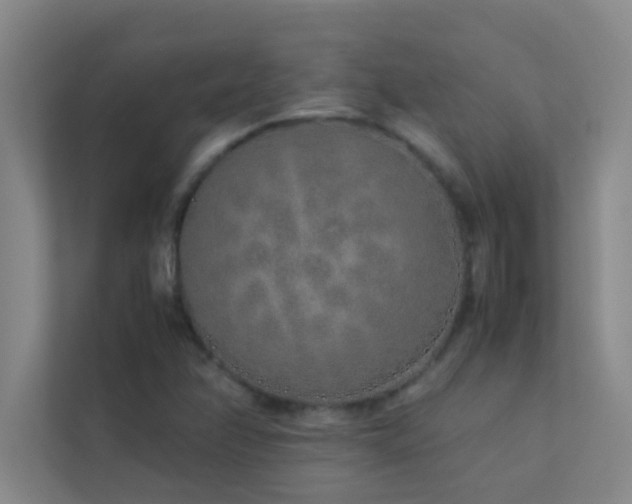X0000113911358200909241501