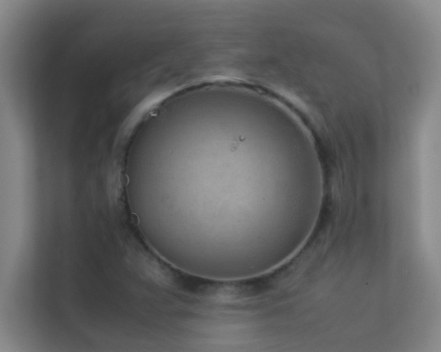 X0000113911359200909241501