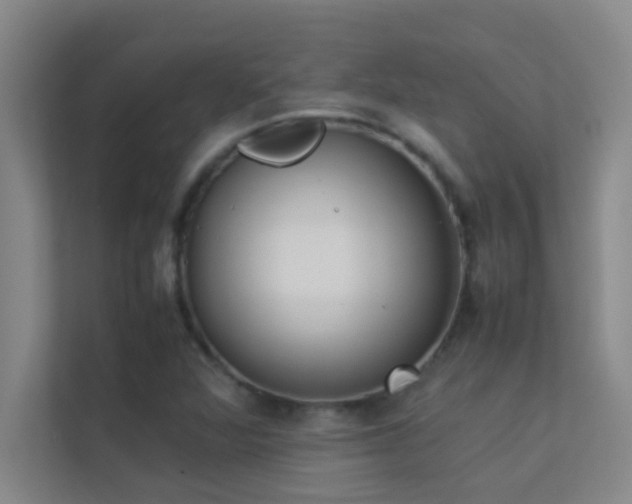 X0000113911360200909241501