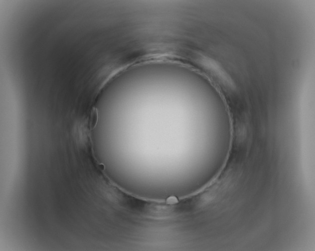 X0000113911361200909241501