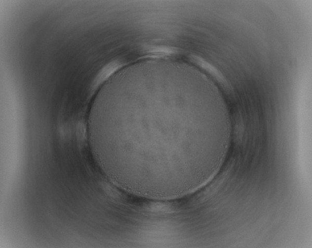 X0000113911362200909241501