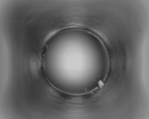 X0000113911363200909241501