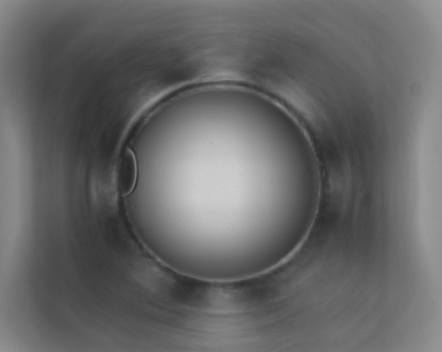 X0000113911364200909241501
