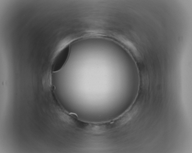 X0000113911365200909241501
