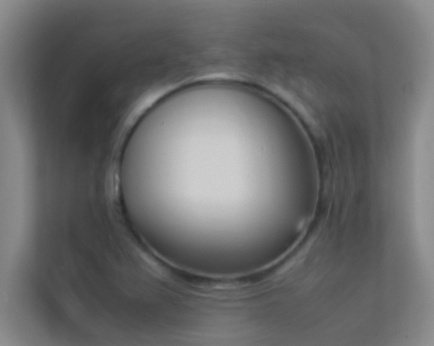 X0000113911367200909241501