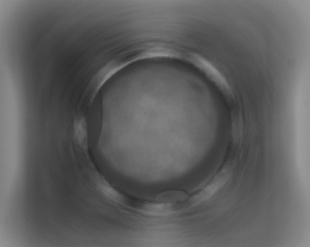 X0000113911369200909241501