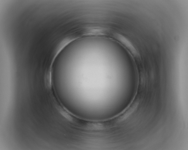 X0000113911370200909241501