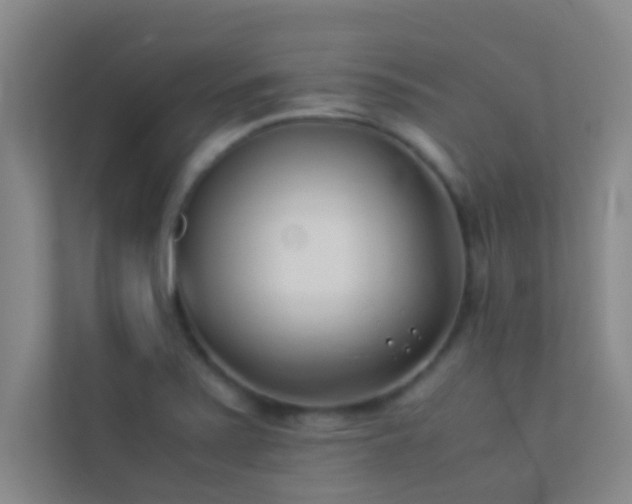 X0000113911371200909241501