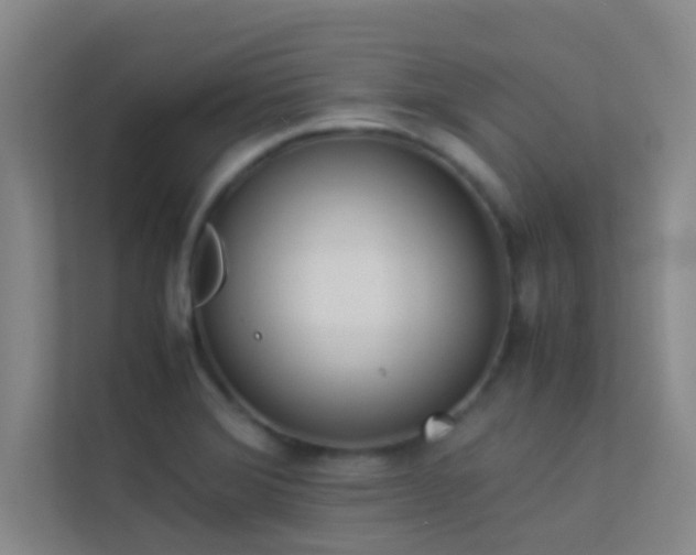 X0000113911372200909241501