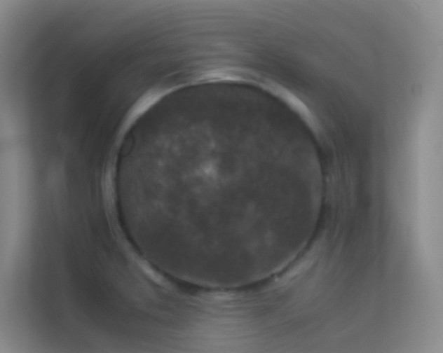 X0000113911373200909241501