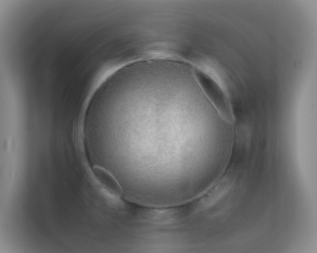 X0000113911381200909241500