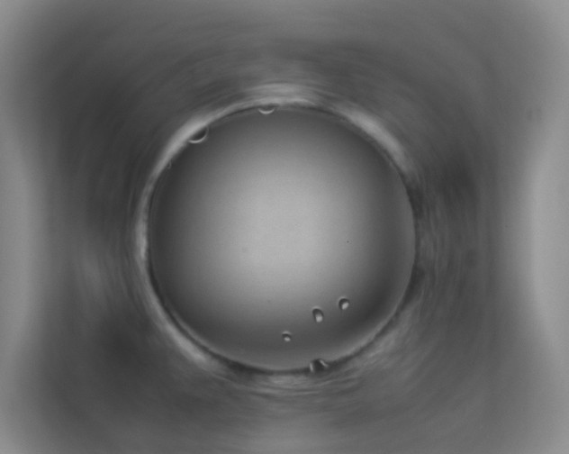 X0000113911383200909241500