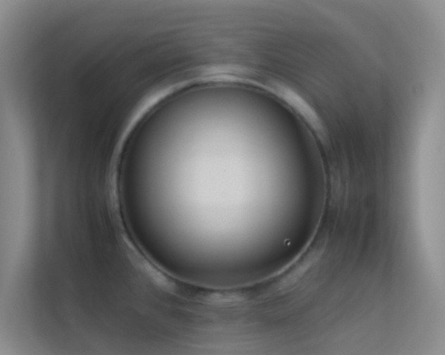 X0000113911384200909241500