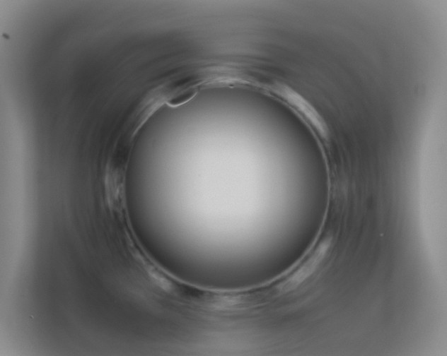 X0000113911385200909241500