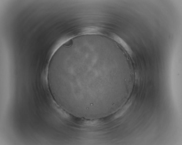 X0000113911386200909241500