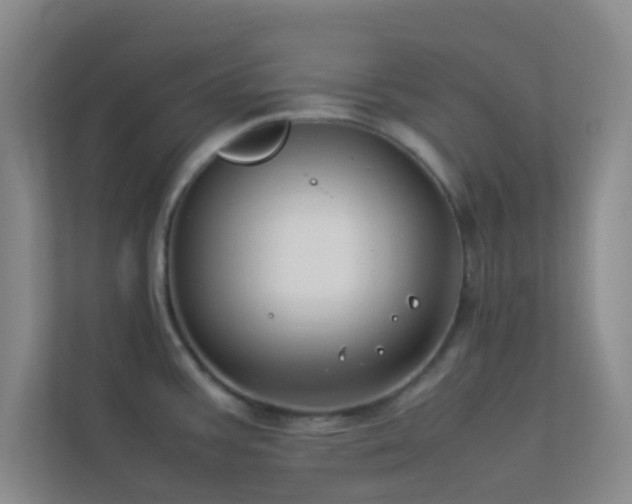 X0000113911387200909241500