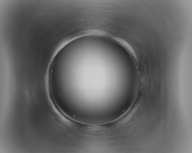 X0000113911391200909241500