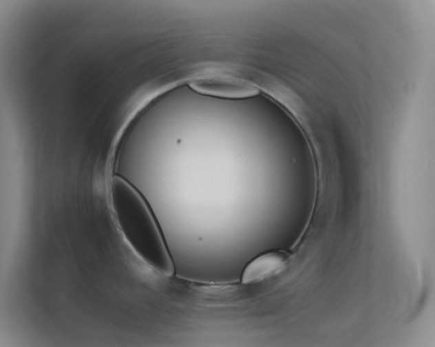 X0000113911392200909241500