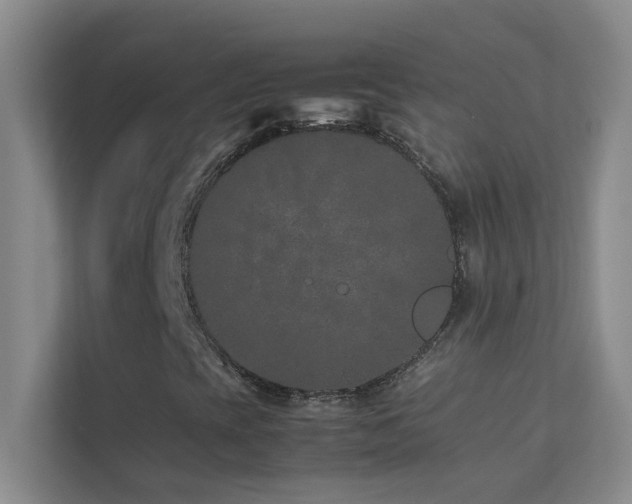 X0000113911393200909241500
