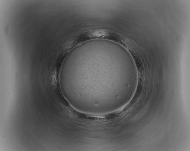 X0000113911394200909241500