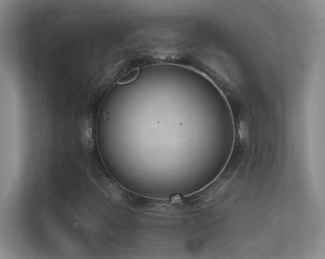 X0000113911396200909241500