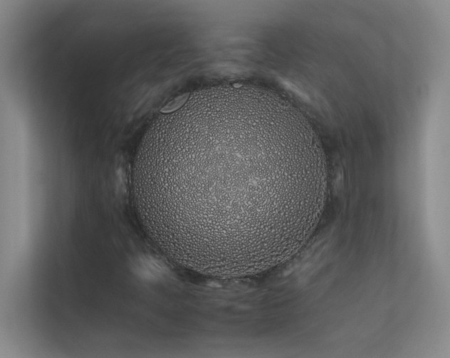 X0000113911397200909241500