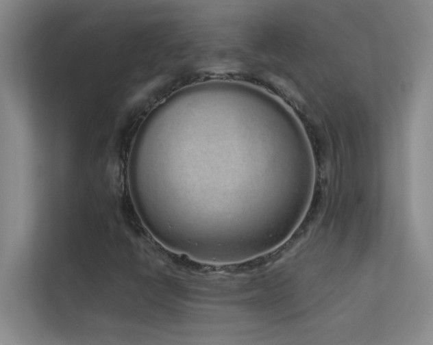 X0000113911398200909241500
