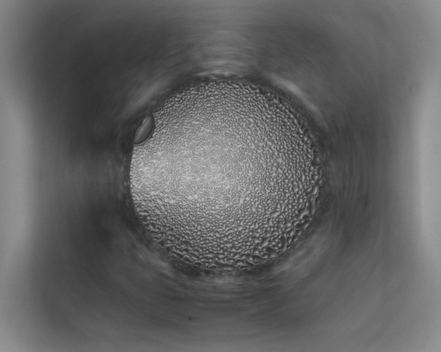 X0000113911399200909241500