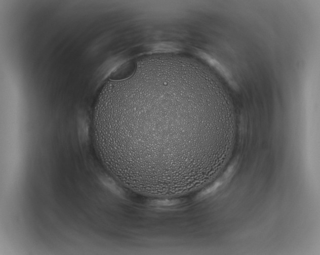X0000113911401200909241500