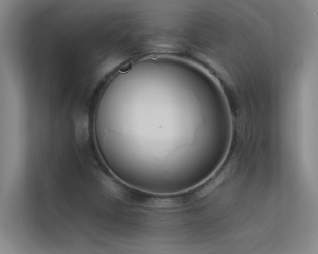 X0000113911402200909241500