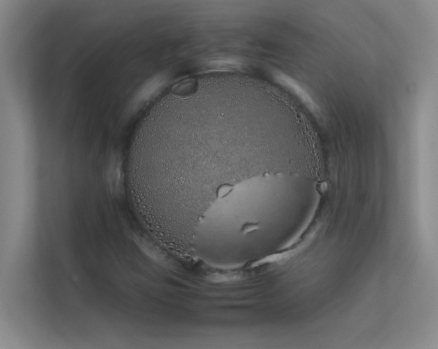X0000113911403200909241500
