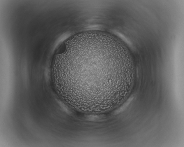 X0000113911405200909241500