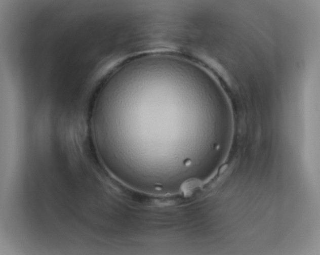X0000113911407200909241500