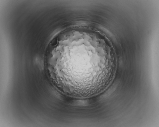 X0000113911409200909241500