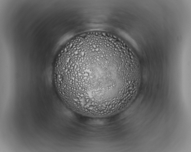 X0000113911411200909241500