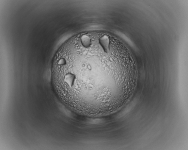 X0000113911413200909241500