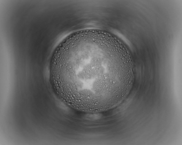 X0000113911415200909241500