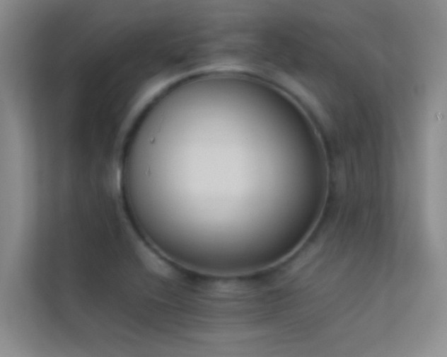 X0000113911416200909241500