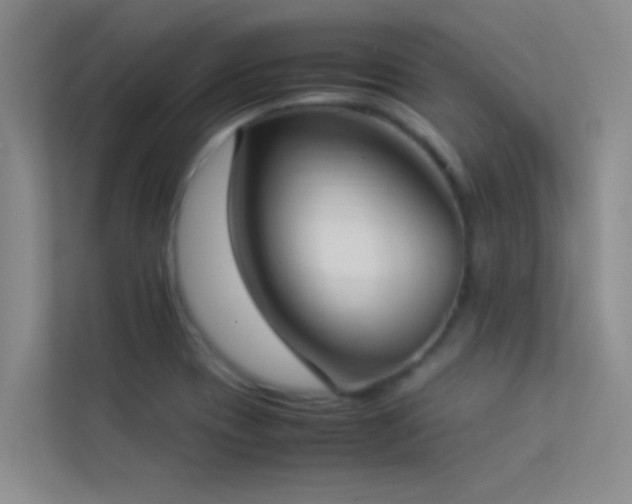 X0000113911417200909241500