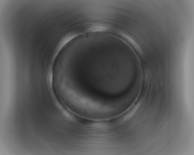 X0000113911418200909241500