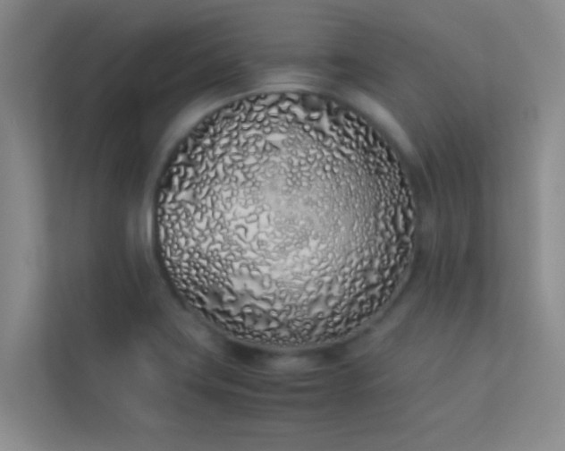 X0000113911419200909241500