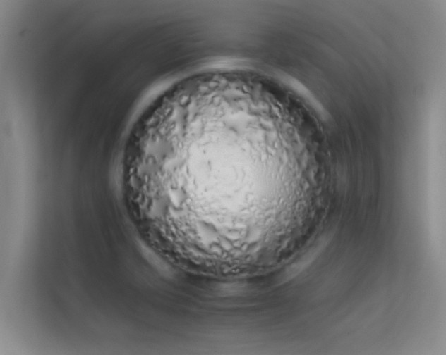 X0000113911421200909241500