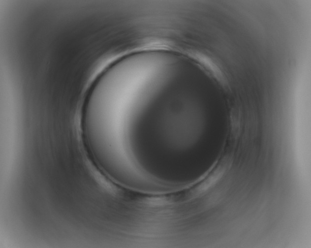 X0000113911422200909241500