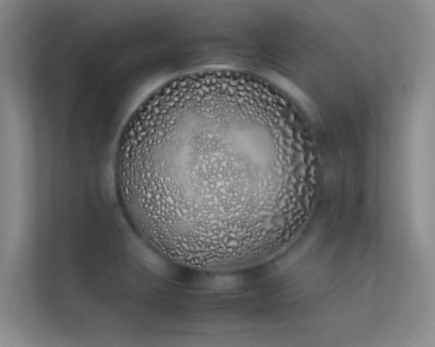 X0000113911423200909241500