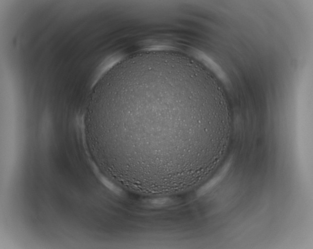 X0000113911425200909241500