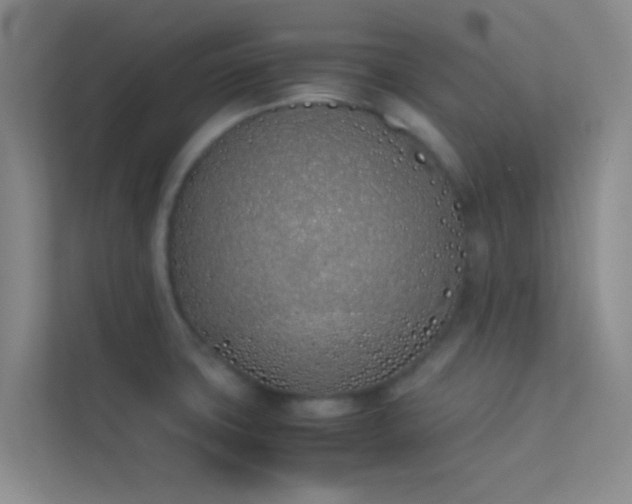 X0000113911427200909241500