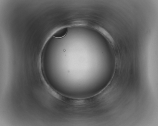 X0000113911431200909241500