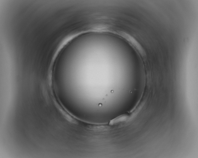 X0000113911432200909241500