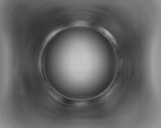 X0000113911435200909241500