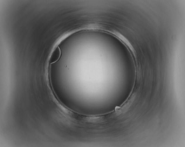 X0000113911437200909241500